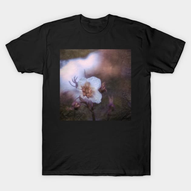 White flower in the night T-Shirt by Amalus-files